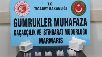 Posta kargosunda 76 adet yavru tarantula yakalandı