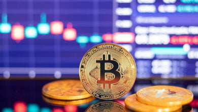 Bitcoin 14 ayın zirvesini gördü